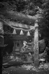 大山阿夫利神社|2016年|宇都宮市大谷町 撮影=大洲大作 (C)Daisaku Oozu